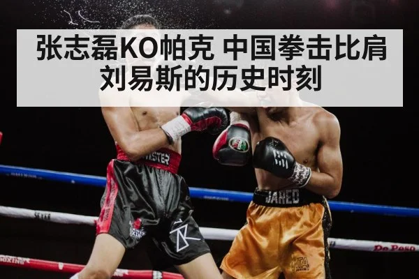Zhang Zhilei knockout punch